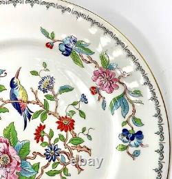 Set Of 8 Wonderful Aynsley Pembroke Dinner Plates, Excellent Condition