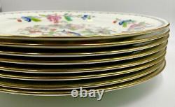 Set Of 8 Wonderful Aynsley Pembroke Dinner Plates, Excellent Condition