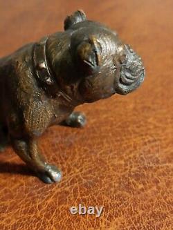 Vintage figurine of a bulldog. Bronze. USSR. Original. Excellent condition 34752